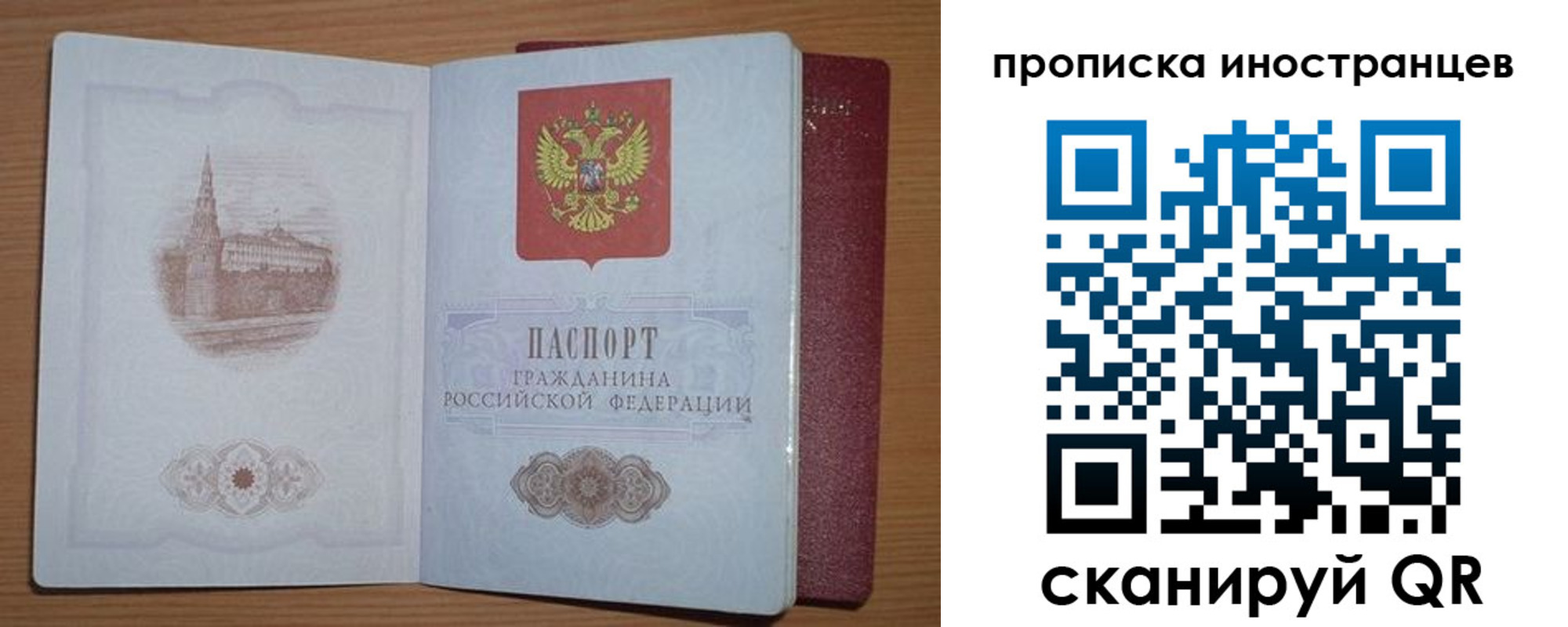 временная прописка в Волосово